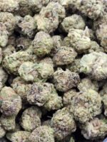 Animal Berry - Image 2