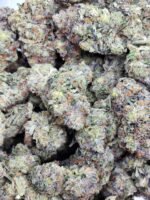 MKU Quad (Gas) - Image 2