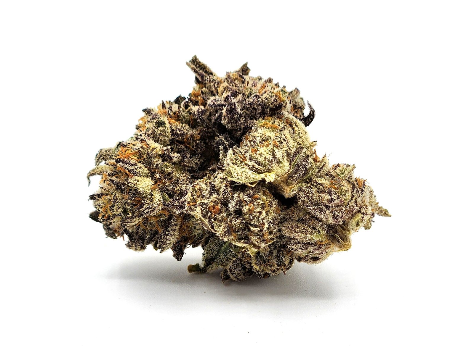 blue-zlurry-flower-bud-scaled-1.jpg Blue Zlurry - Image 1