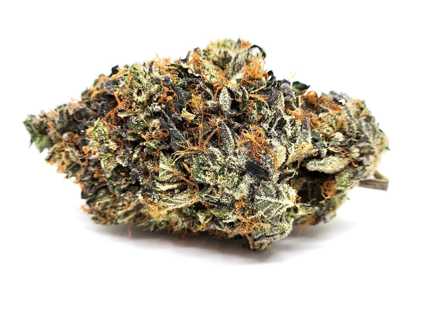 bud-mku-og-scaled-1.jpg MKU Quad (Gas) - Image 1