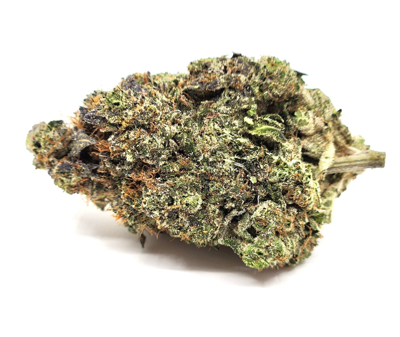 flower-bud-platinum-tuna-gas-scaled-1.jpg Platinum Tuna Kush (AAAA) (Gas) - Image 1