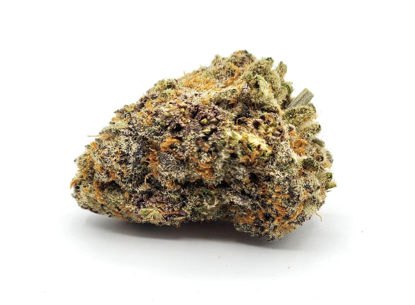 flower-bud-rainbow-driver-scaled-1.jpg Georgia Tart - Image 1