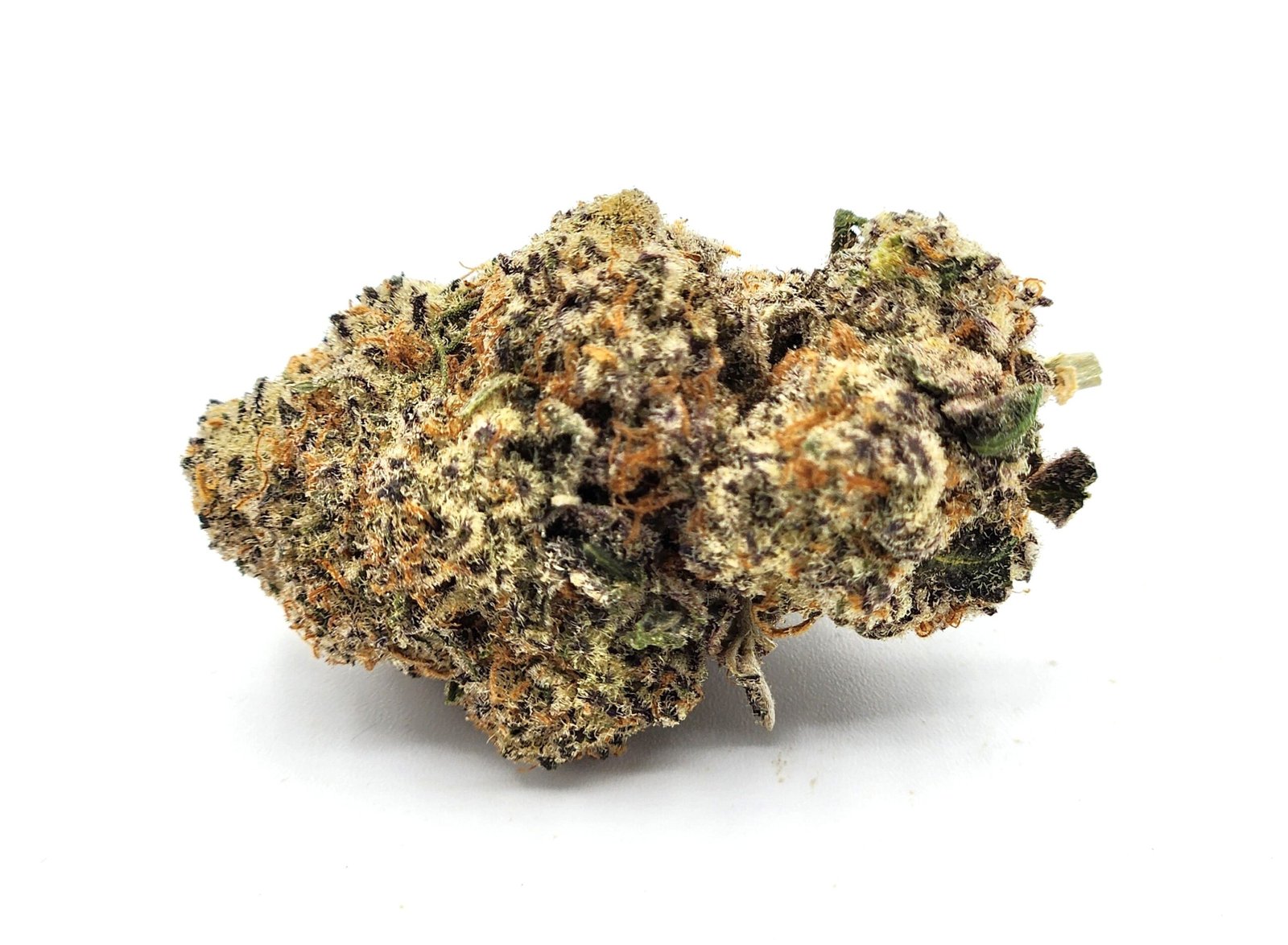 flower-chimera-bud-scaled-1.jpg Chimera - Image 1