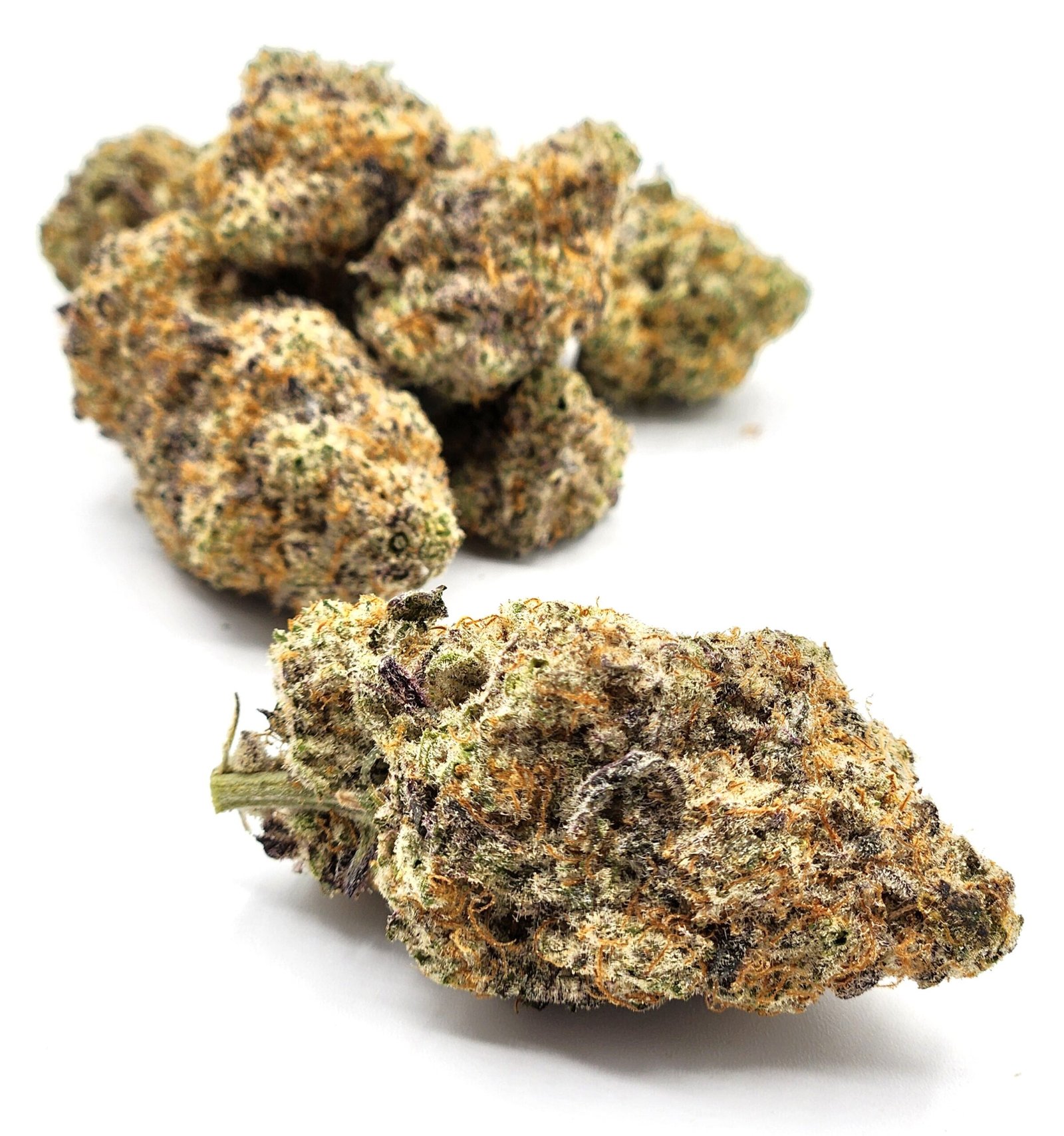 flower-mac-n-cheese-bud-scaled-1.jpg Mac N Cheese - Image 1