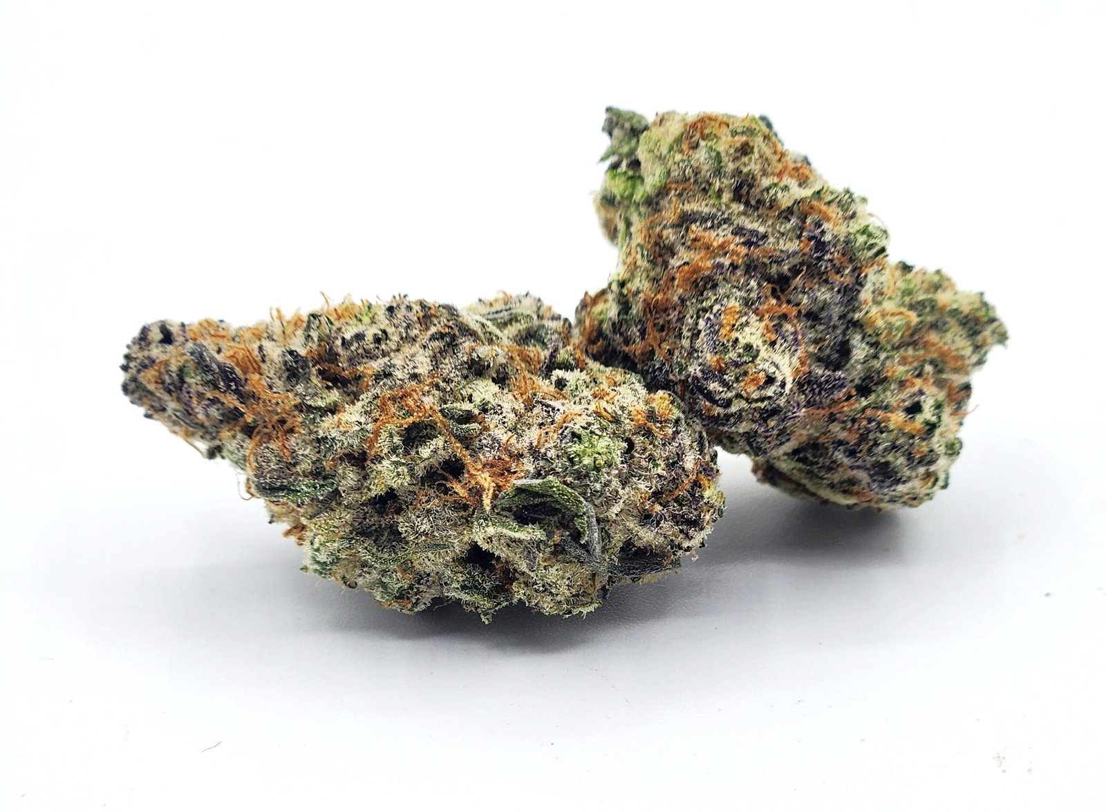 jiggler-flower-bud-scaled-1.jpg Jigglers - Image 1