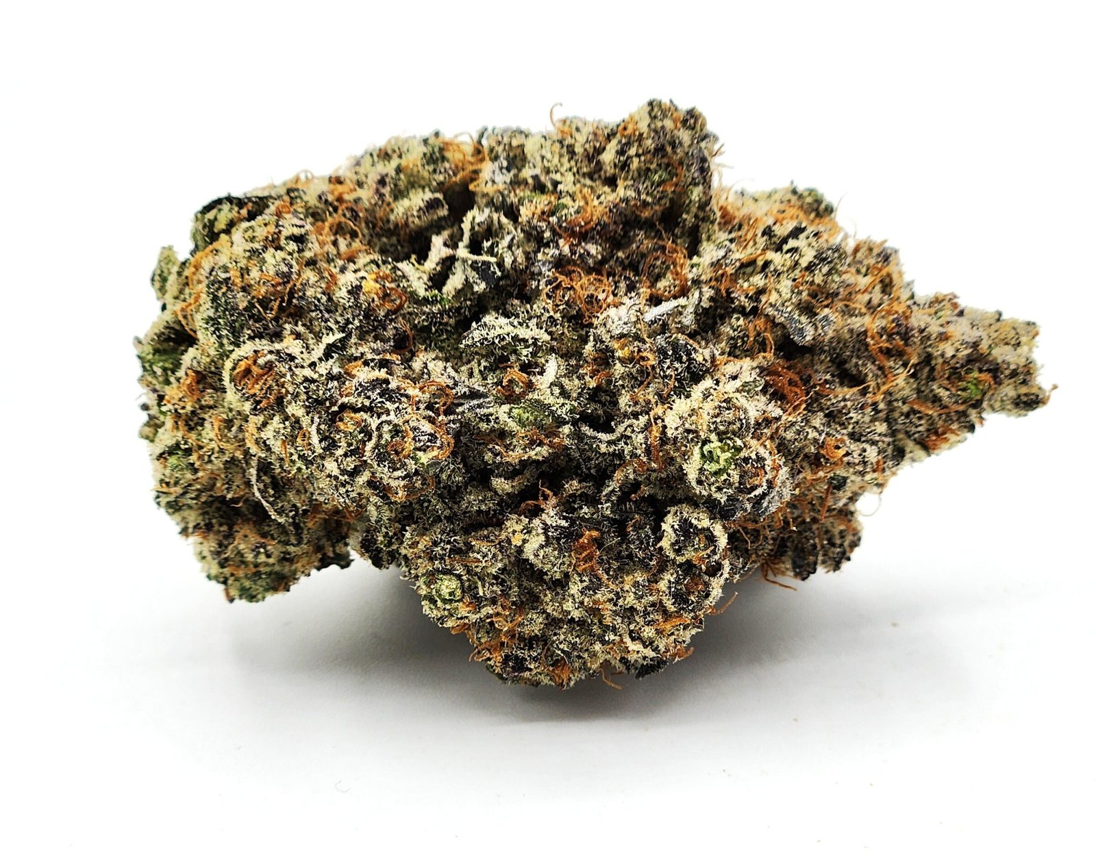 Kool Whip (AAAA Okanagan Grown)