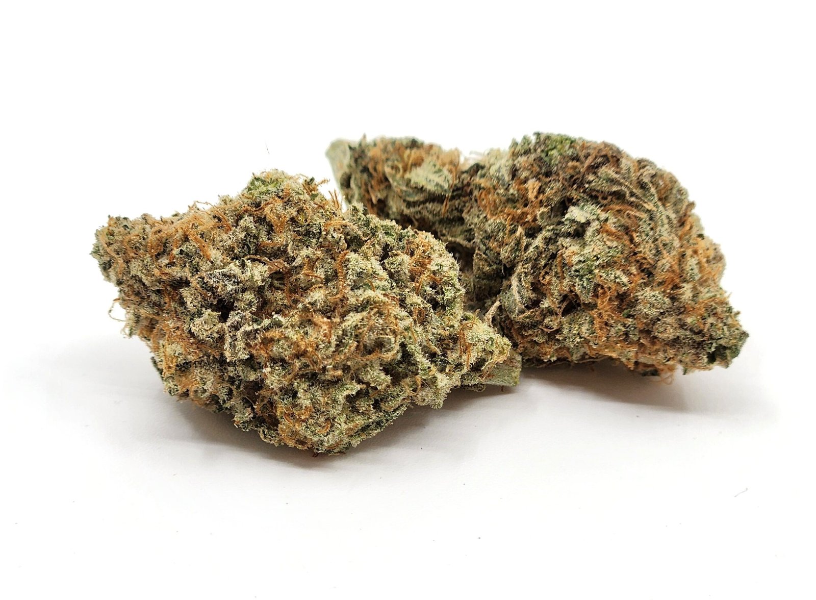 pineapple-voodoo-flower-bud-scaled-1.jpg Pineapple Voodoo - Image 1