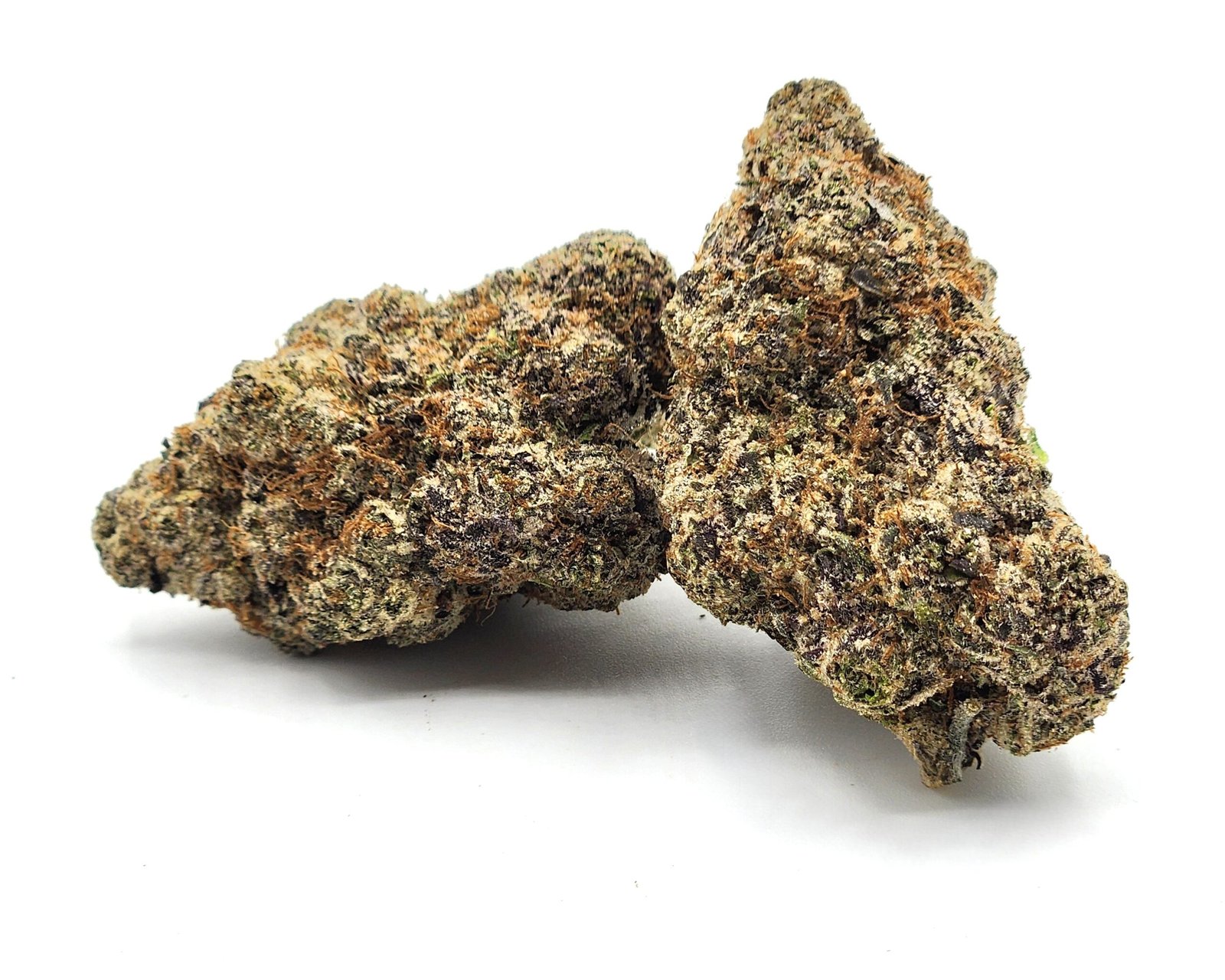 red-rouge-flower-bud-scaled-1.jpg Red Rouge - Image 1