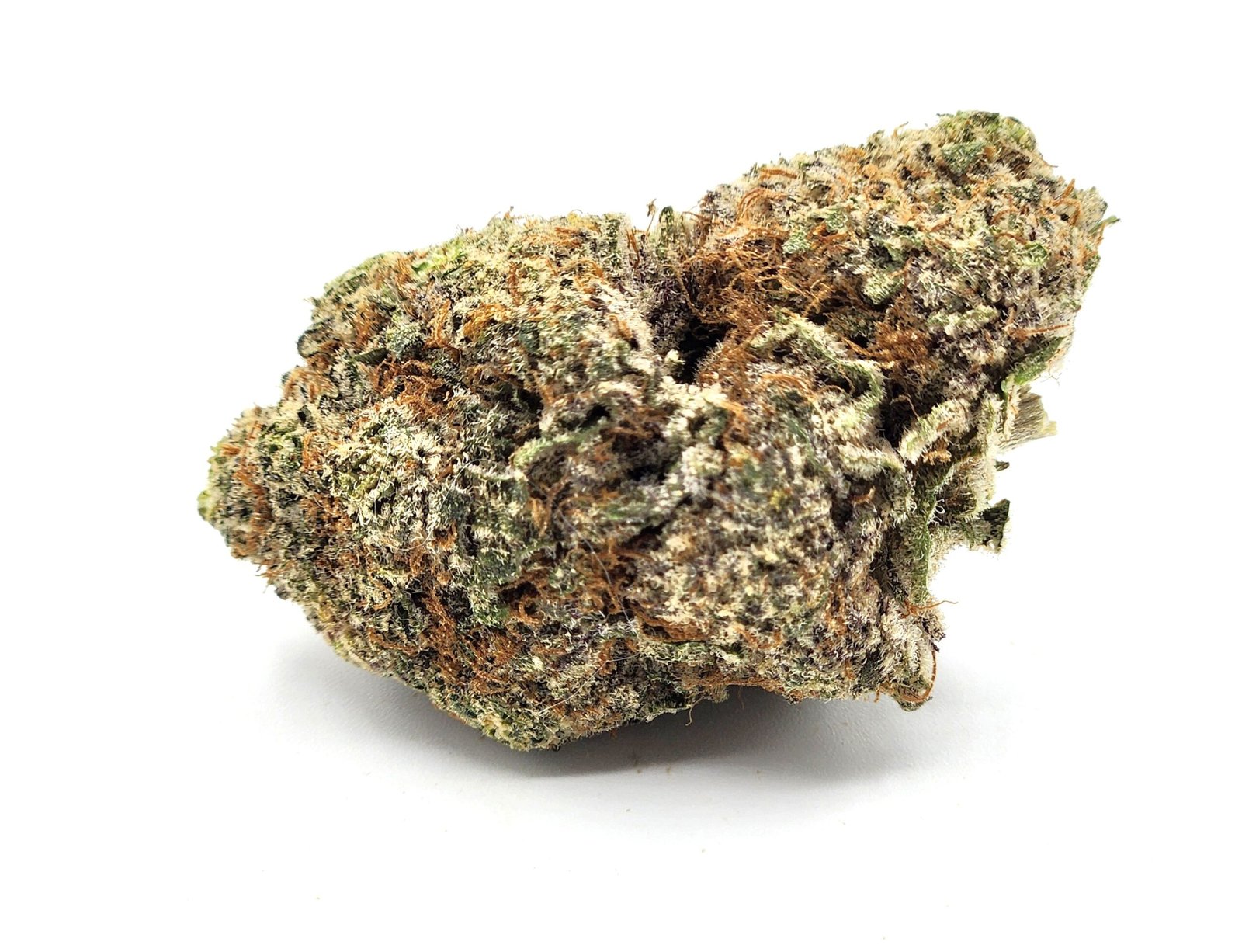 silky-johnson-flower-bud-scaled-1.jpg Silky Johnson - Image 1