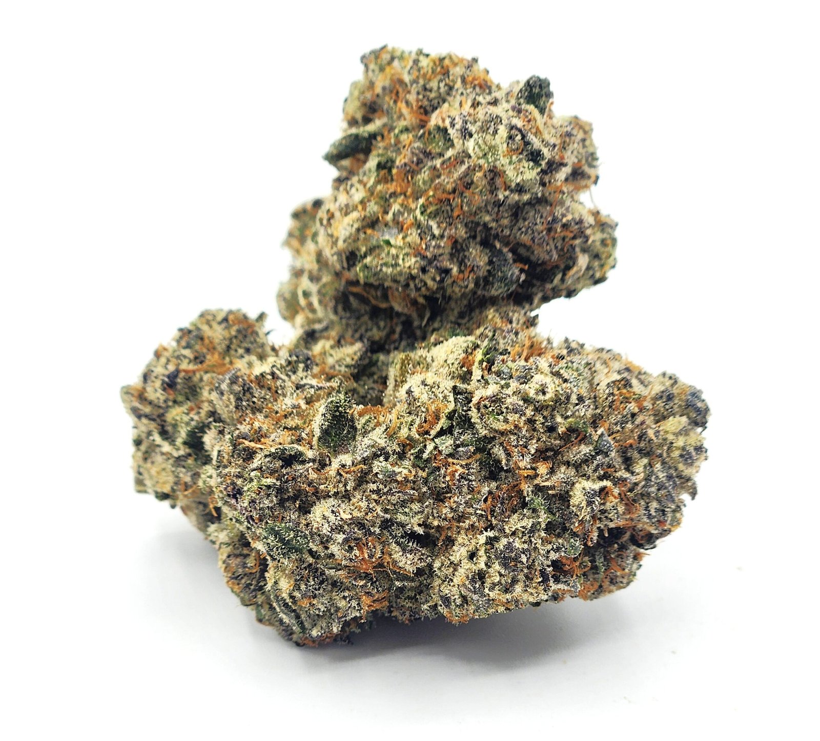 slurricane-flower-bud-scaled-1.jpg Slurricane - Image 1