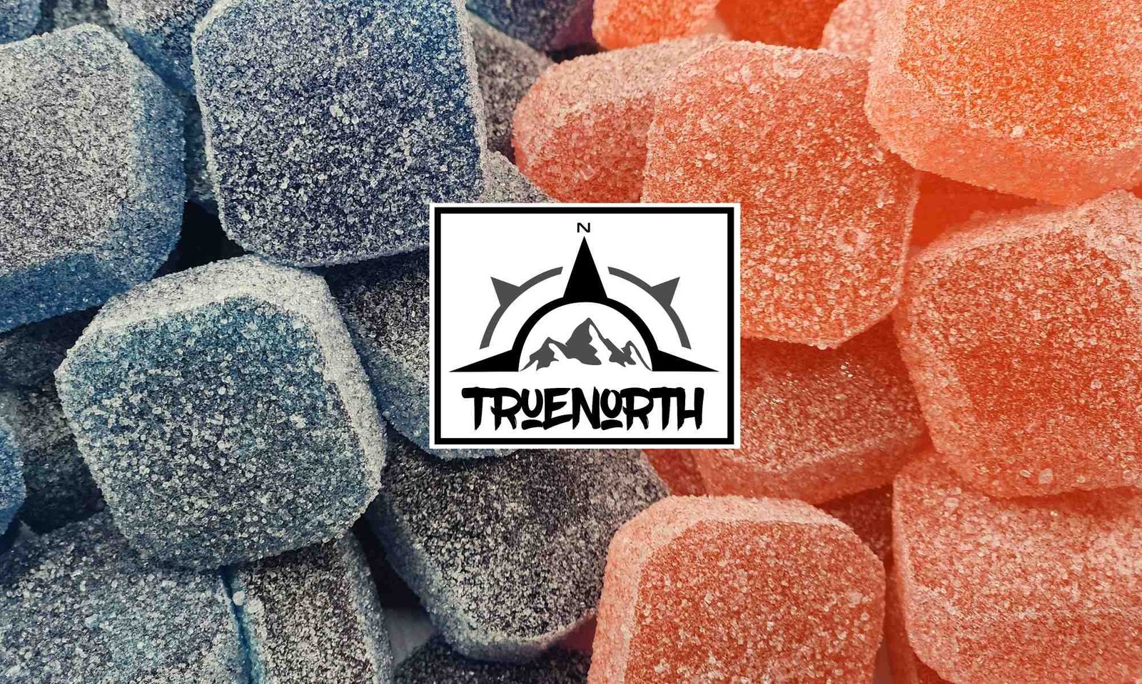 160mg True North Gummies Blue Raspberry and Strawberry (4x40mg)